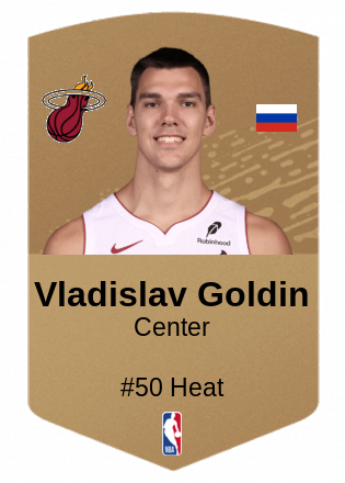 Vladislav Goldin