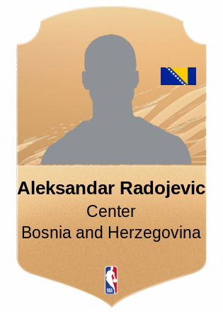 Aleksandar Radojevic