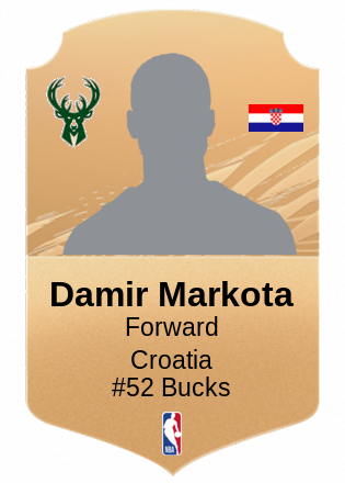 Damir Markota