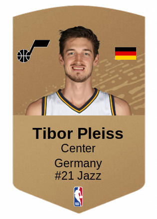 Tibor Pleiss