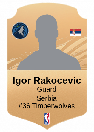 Igor Rakocevic