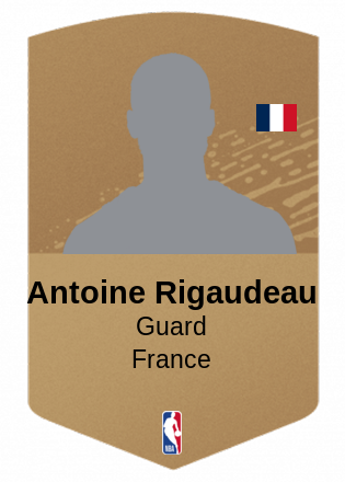 Antoine Rigaudeau