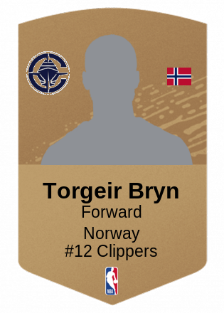 Torgeir Bryn